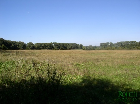  2006.